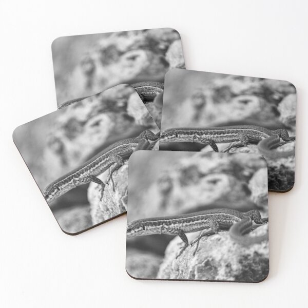 Item preview, Black and White Close-Up of a Lizard on Rocky Surface Showing Reptile Texture and Camouflage designed and sold by Nmallia.