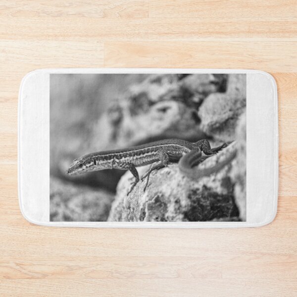 Item preview, Black and White Close-Up of a Lizard on Rocky Surface Showing Reptile Texture and Camouflage designed and sold by Nmallia.