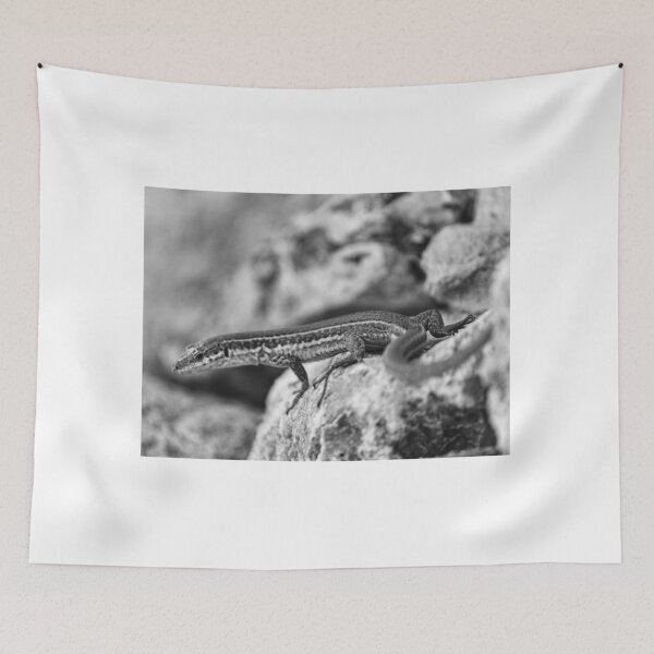 Item preview, Black and White Close-Up of a Lizard on Rocky Surface Showing Reptile Texture and Camouflage designed and sold by Nmallia.