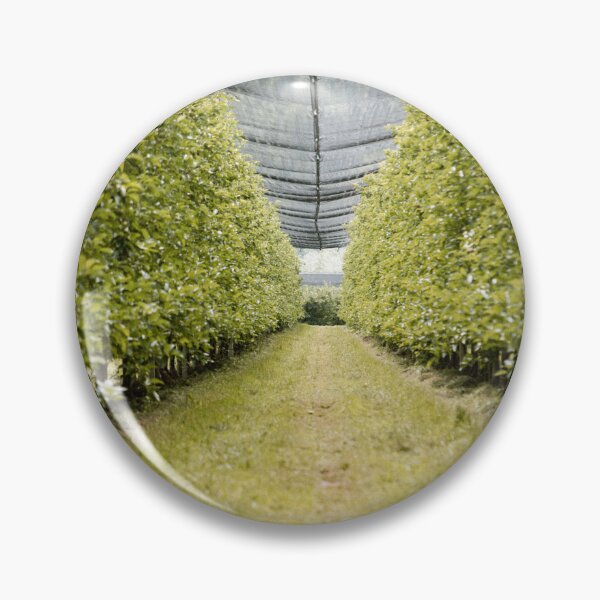 Item preview, apple tree designed and sold by LUNALABANDROOMS.