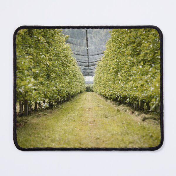 Item preview, apple tree designed and sold by LUNALABANDROOMS.