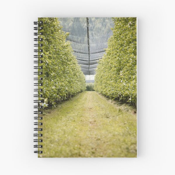 Item preview, apple tree designed and sold by LUNALABANDROOMS.