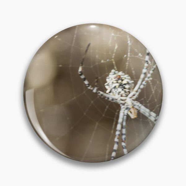 Item preview, Striped Orb Weaver Spider Resting in Intricate Web With Blurred Natural Background designed and sold by Nmallia.