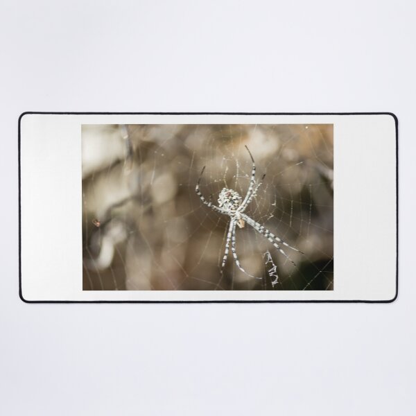 Item preview, Striped Orb Weaver Spider Resting in Intricate Web With Blurred Natural Background designed and sold by Nmallia.