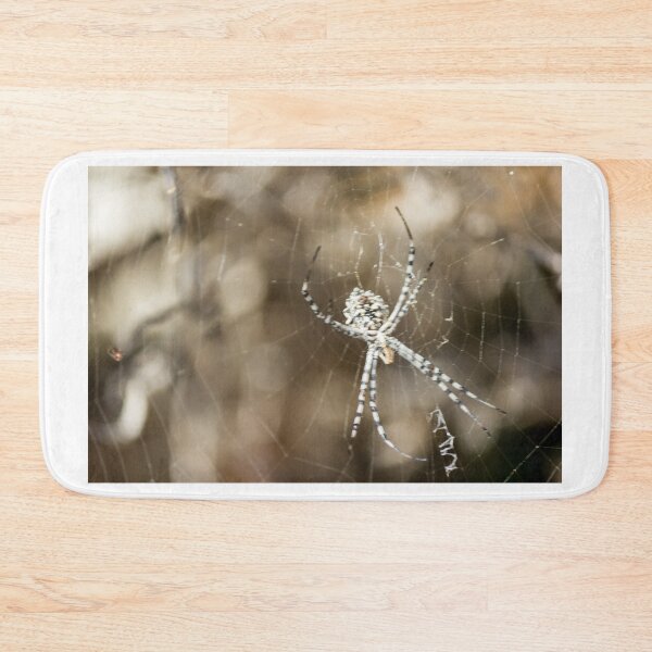 Item preview, Striped Orb Weaver Spider Resting in Intricate Web With Blurred Natural Background designed and sold by Nmallia.