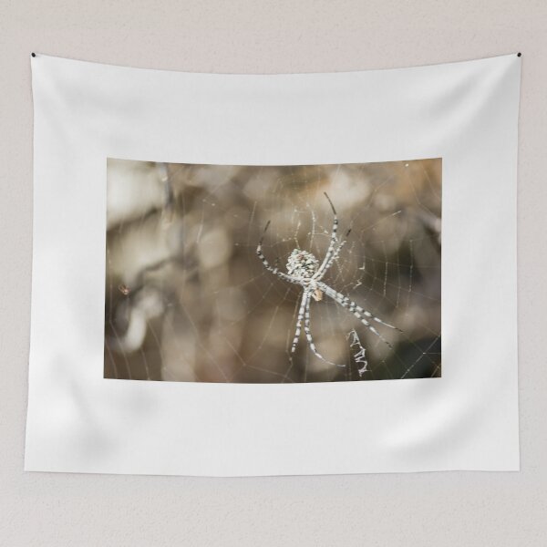 Item preview, Striped Orb Weaver Spider Resting in Intricate Web With Blurred Natural Background designed and sold by Nmallia.