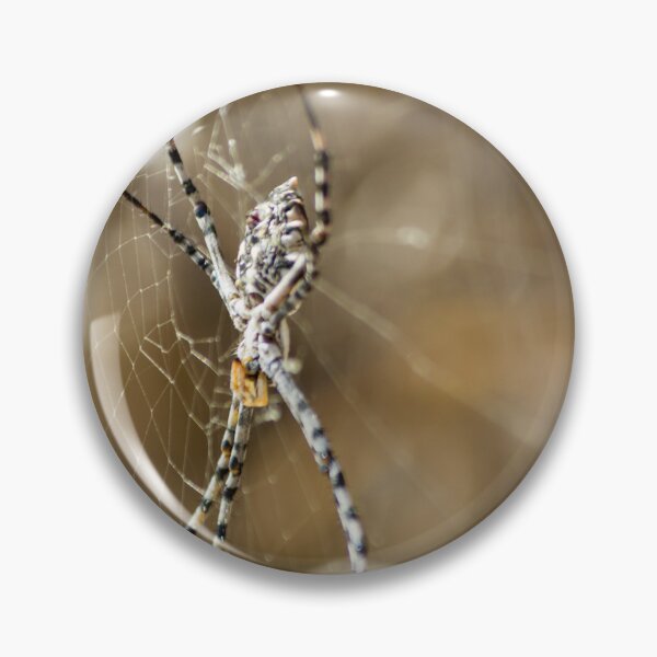 Item preview, Striped Orb Weaver Spider Resting in Intricate Web With Blurred Natural Background designed and sold by Nmallia.