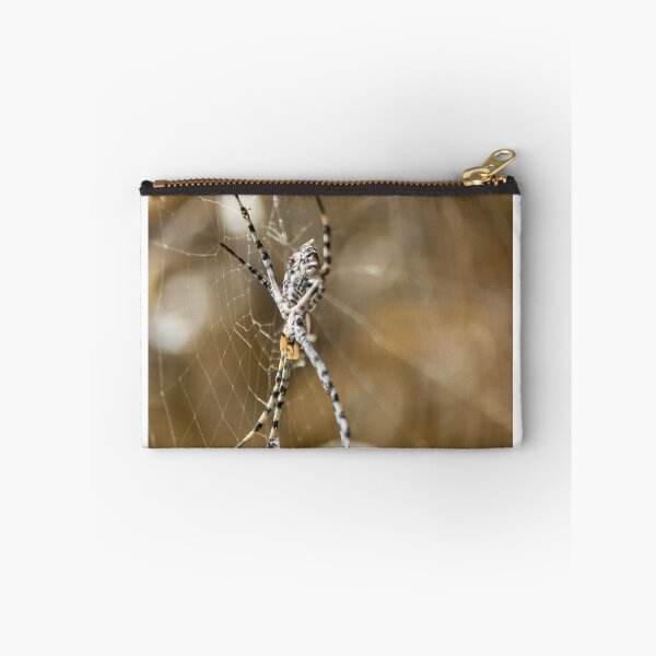 Item preview, Striped Orb Weaver Spider Resting in Intricate Web With Blurred Natural Background designed and sold by Nmallia.