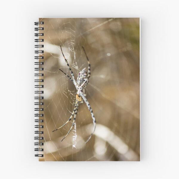 Item preview, Striped Orb Weaver Spider Resting in Intricate Web With Blurred Natural Background designed and sold by Nmallia.