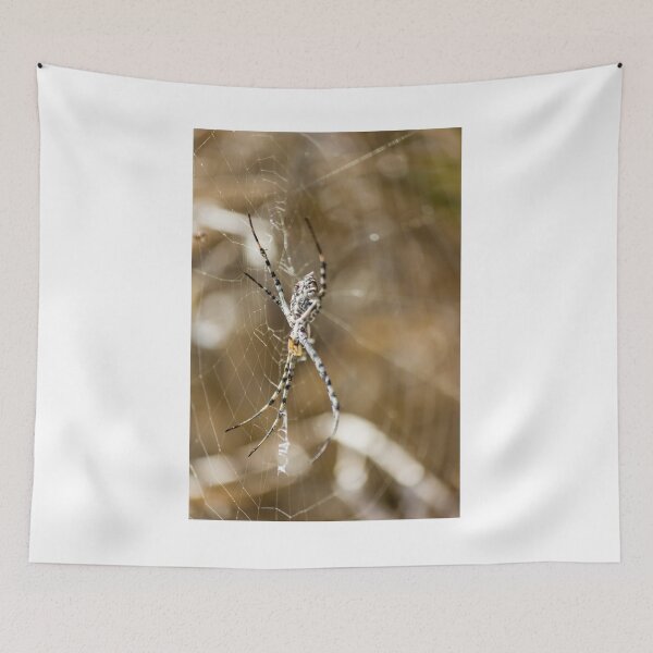 Item preview, Striped Orb Weaver Spider Resting in Intricate Web With Blurred Natural Background designed and sold by Nmallia.