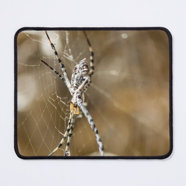 Item preview, Striped Orb Weaver Spider Resting in Intricate Web With Blurred Natural Background designed and sold by Nmallia.