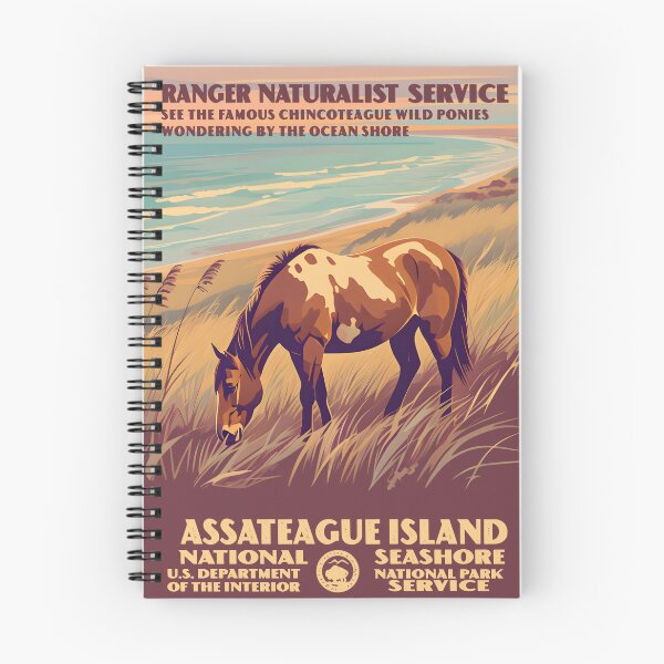 Item preview, Assateague Island National Seashore designed and sold by Backyard Adventures.