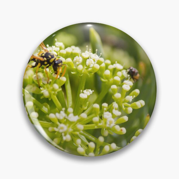 Item preview, Wasp Feeding on Green Flower Buds Macro Pollination Insect In Garden Close-Up designed and sold by Nmallia.
