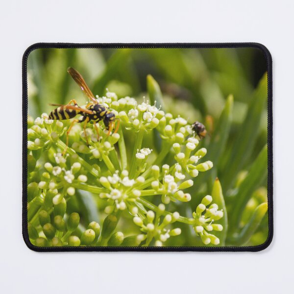 Item preview, Wasp Feeding on Green Flower Buds Macro Pollination Insect In Garden Close-Up designed and sold by Nmallia.