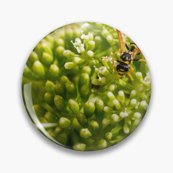 Item preview, Wasp Feeding on Green Flower Buds Macro Pollination Insect In Garden Close-Up designed and sold by Nmallia.