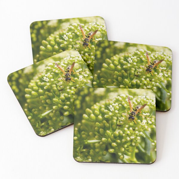 Item preview, Wasp Feeding on Green Flower Buds Macro Pollination Insect In Garden Close-Up designed and sold by Nmallia.