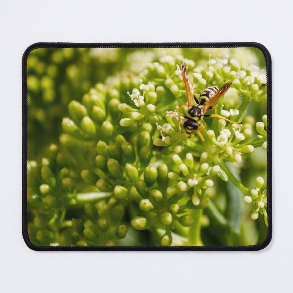 Item preview, Wasp Feeding on Green Flower Buds Macro Pollination Insect In Garden Close-Up designed and sold by Nmallia.