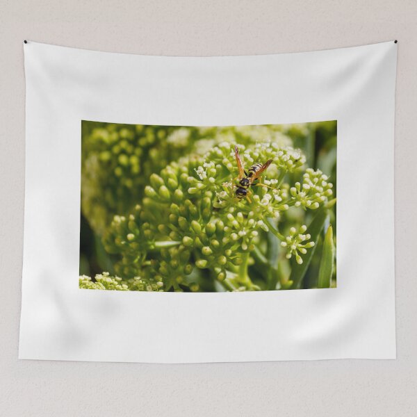 Item preview, Wasp Feeding on Green Flower Buds Macro Pollination Insect In Garden Close-Up designed and sold by Nmallia.