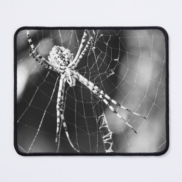 Item preview, Black and White Macro Close-Up of Spider on Web Showing Arachnid Detail and Web Pattern designed and sold by Nmallia.