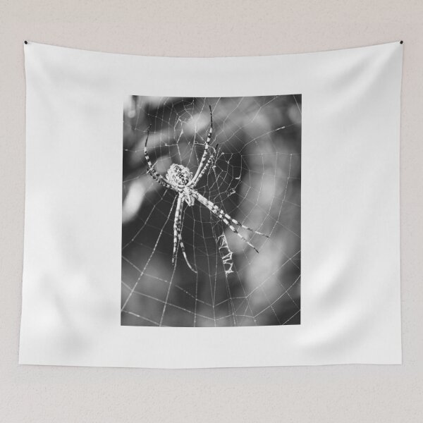 Item preview, Black and White Macro Close-Up of Spider on Web Showing Arachnid Detail and Web Pattern designed and sold by Nmallia.