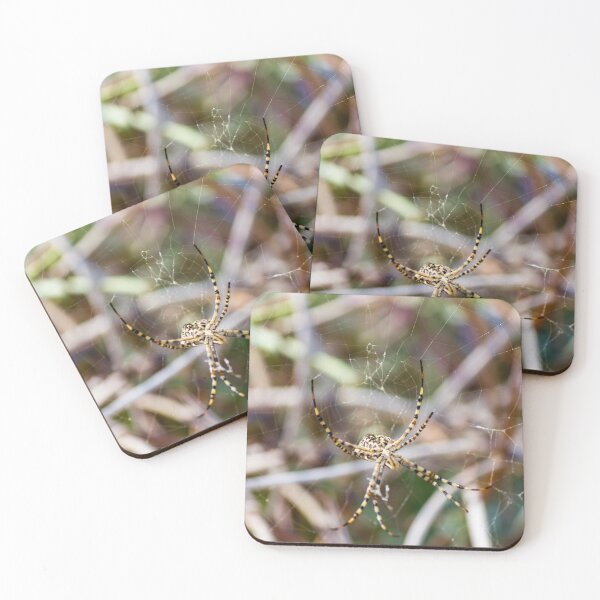 Item preview, Striped Garden Spider Resting in Web Among Grass With Blurred Natural Background Close-Up designed and sold by Nmallia.