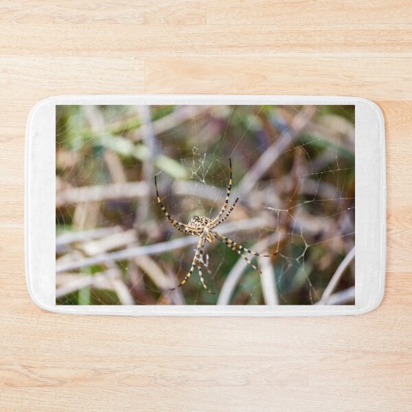 Item preview, Striped Garden Spider Resting in Web Among Grass With Blurred Natural Background Close-Up designed and sold by Nmallia.