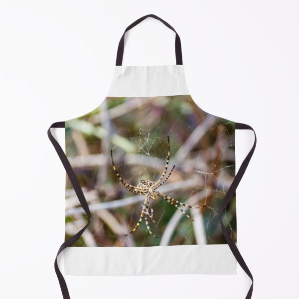 Item preview, Striped Garden Spider Resting in Web Among Grass With Blurred Natural Background Close-Up designed and sold by Nmallia.