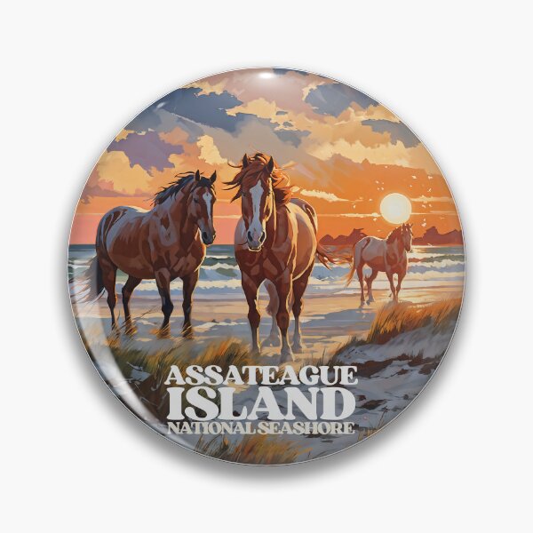 Item preview, Assateague Island National Seashore designed and sold by Backyard Adventures.