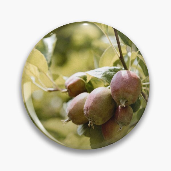 Item preview, apple orchard designed and sold by LUNALABANDROOMS.