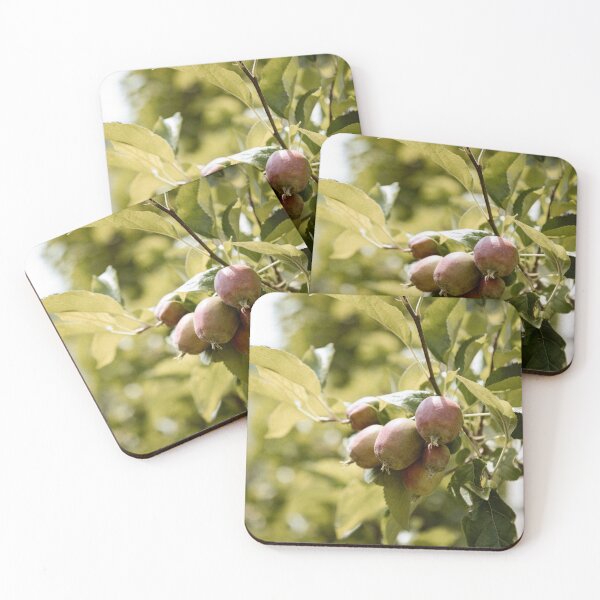 Item preview, apple orchard designed and sold by LUNALABANDROOMS.