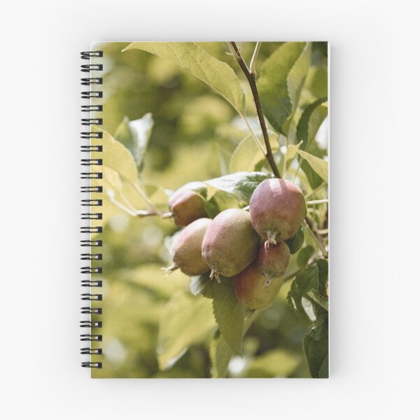 Item preview, apple orchard designed and sold by LUNALABANDROOMS.