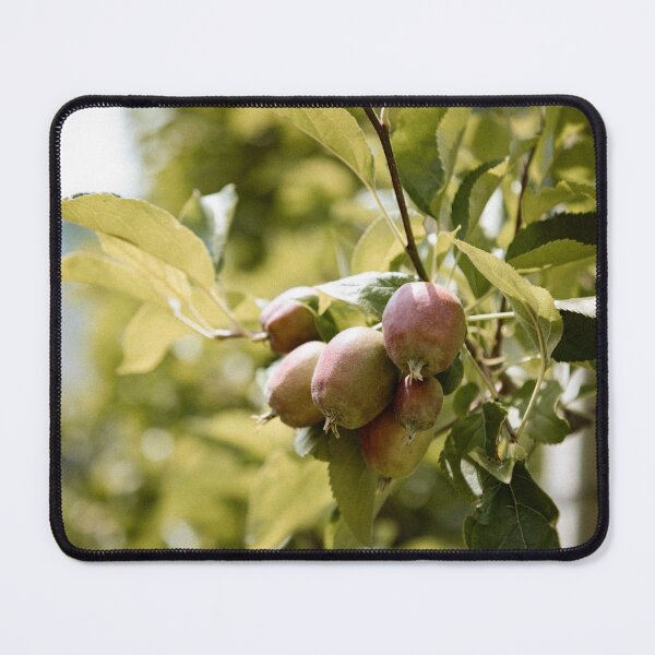 Item preview, apple orchard designed and sold by LUNALABANDROOMS.