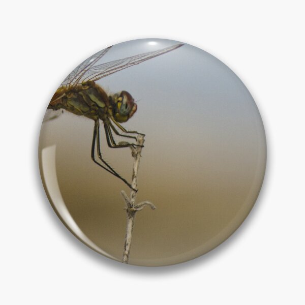 Item preview, Red Dragonfly Perched on Dry Twig Over Blurred Natural Background Macro Insect Close-Up designed and sold by Nmallia.