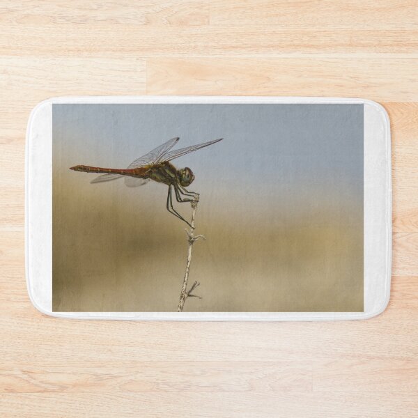 Item preview, Red Dragonfly Perched on Dry Twig Over Blurred Natural Background Macro Insect Close-Up designed and sold by Nmallia.