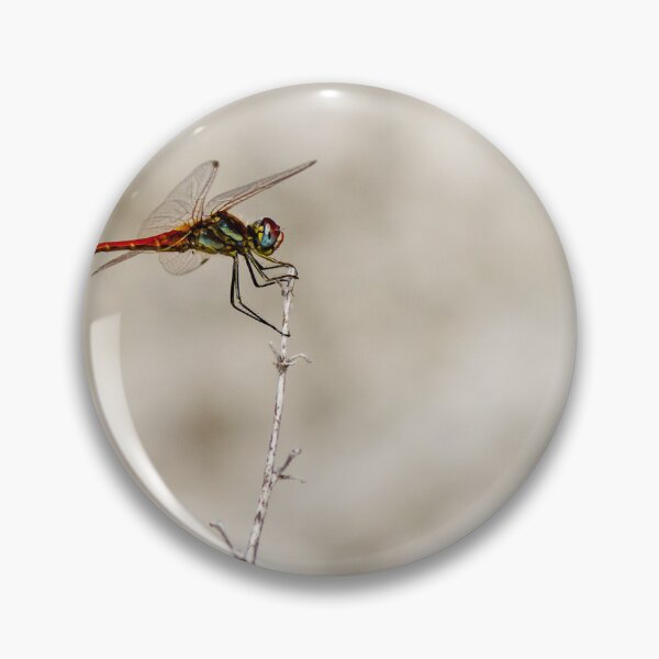 Item preview, Red Dragonfly Perched On Dry Stem Macro Closeup Over Soft Neutral Background designed and sold by Nmallia.