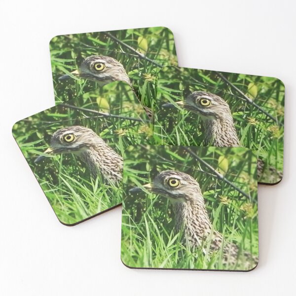 Item preview, Spotted Thick-knee Peering through Grass, Witbank designed and sold by JaneFlowersAfrica.