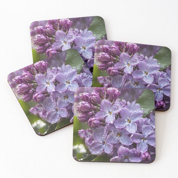 Item preview, Lilac Flowers with Raindrops - Spring Botanical Photography designed and sold by ChiefMomCo.