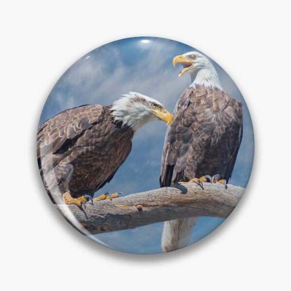 Item preview, Bald Eagle Pair Perched in a Dead Tree designed and sold by Jeff Goulden Photography.