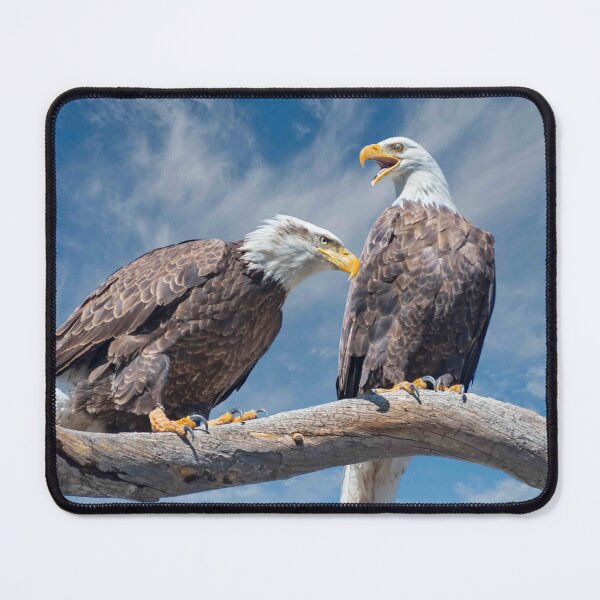 Item preview, Bald Eagle Pair Perched in a Dead Tree designed and sold by Jeff Goulden Photography.