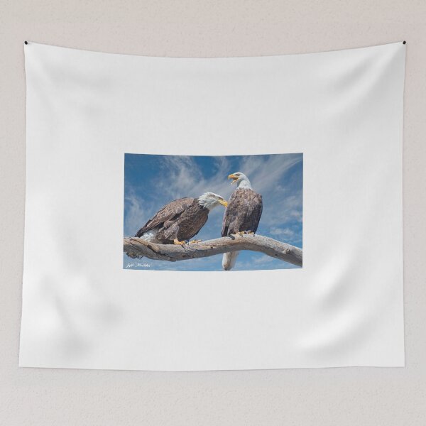 Item preview, Bald Eagle Pair Perched in a Dead Tree designed and sold by Jeff Goulden Photography.