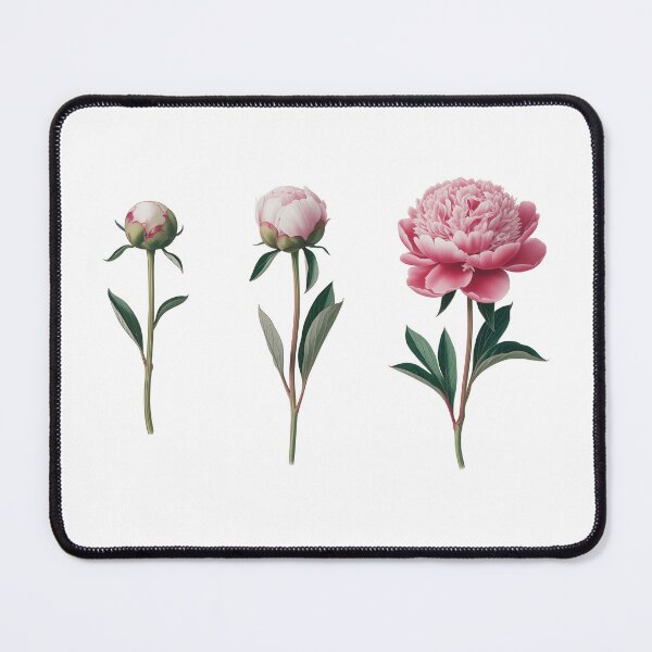 Item preview, Blooming garden, peony, three phases of growth, beautiful flowers designed and sold by wizard-work.