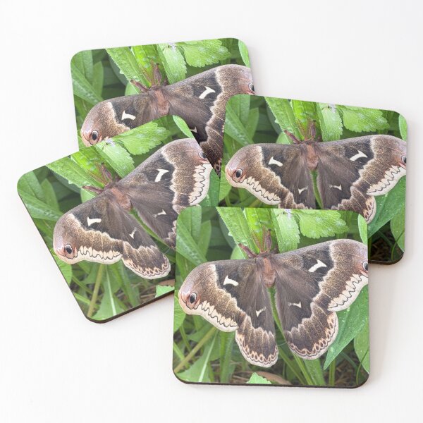 Item preview, Tulip Tree Silk Moth designed and sold by Alice Kahn.
