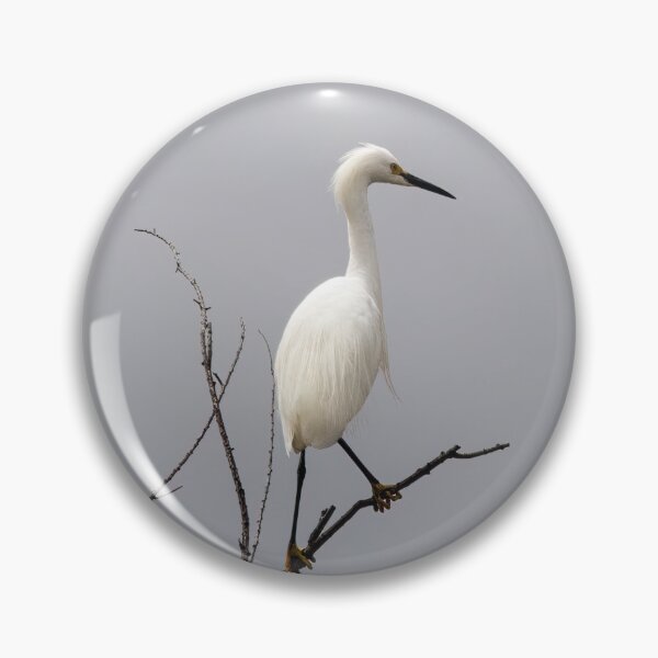 Item preview, Great White Egret Overlooking His Domain designed and sold by CarolM.
