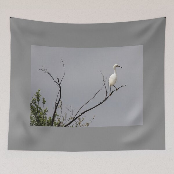Item preview, Great White Egret Overlooking His Domain designed and sold by CarolM.