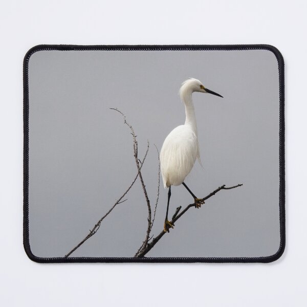 Item preview, Great White Egret Overlooking His Domain designed and sold by CarolM.