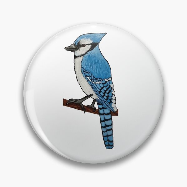 Artikelvorschau, Blue Jay entworfen und verkauft von panickyOpossum.