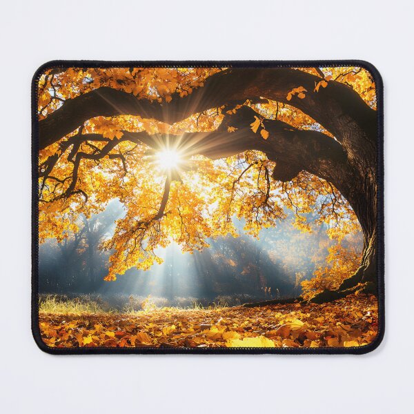 Item preview, Golden Autumn Rays Through Majestic Tree Branches designed and sold by Artessie.