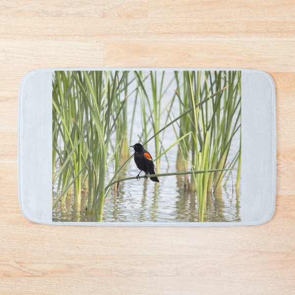 Item preview, Red-winged Blackbird in the Reeds designed and sold by CarolM.