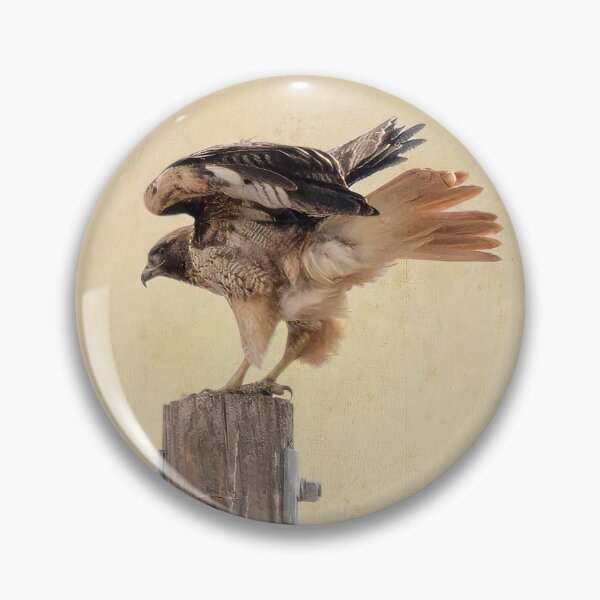 Item preview, Red-tailed Hawk on Post designed and sold by CarolM.
