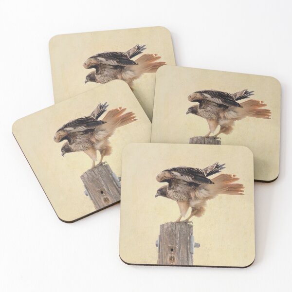 Item preview, Red-tailed Hawk on Post designed and sold by CarolM.